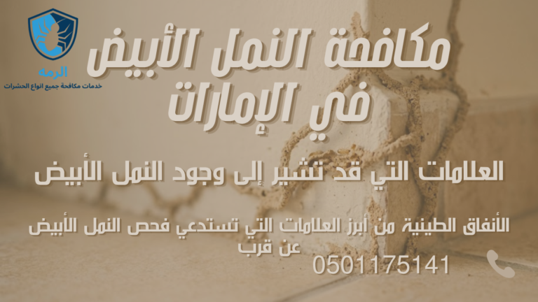 أنفاق طينية للنمل الأبيض على جدار داخل عقار سكني بالإمارات