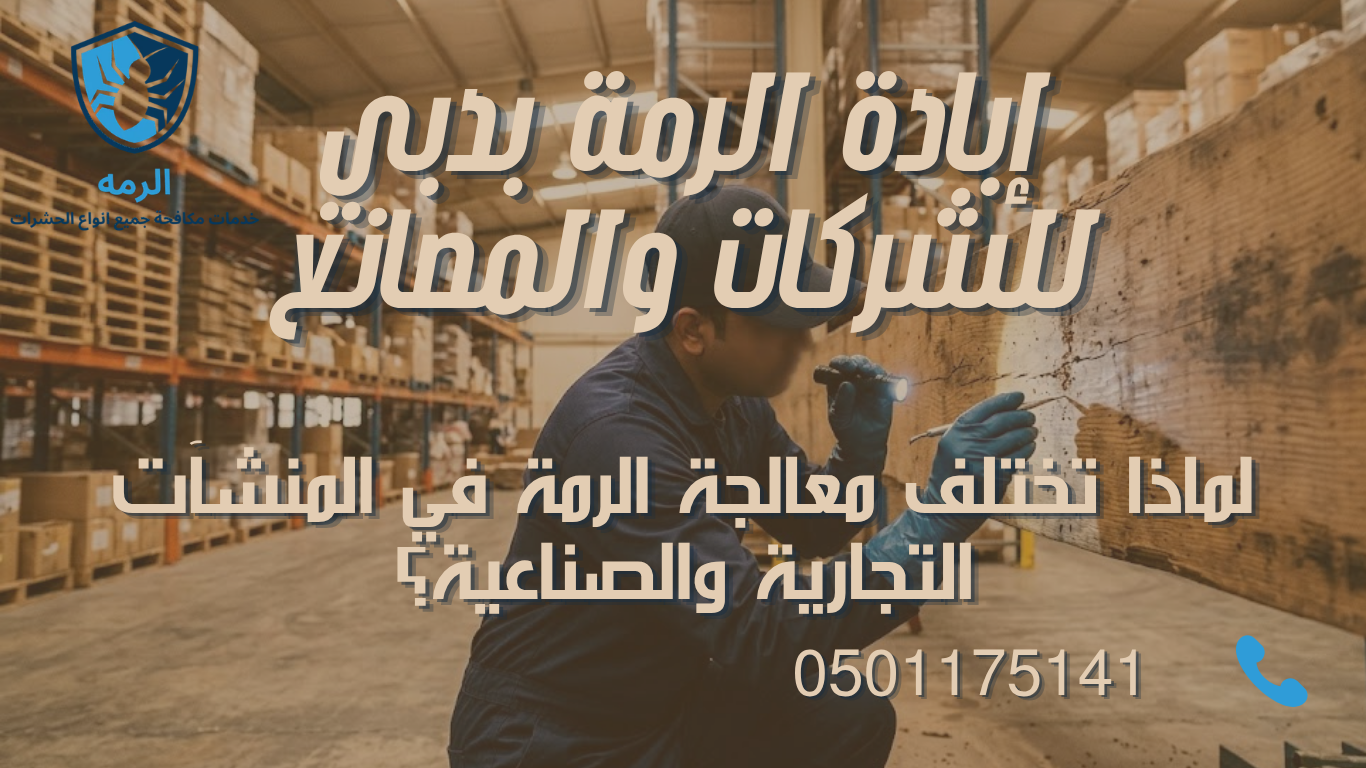 فني متخصص يفحص هيكل خشبي داخل مصنع بحثًا عن إصابة الرمة في دبي