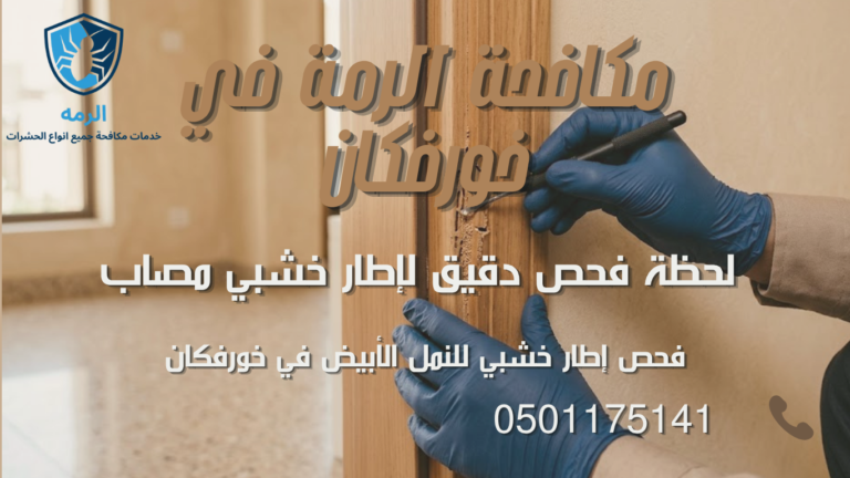 مكافحة الرمة في خورفكان: حماية المنازل والمنشآت من أضرار النمل الأبيض 5 فني يفحص إطار باب خشبي تظهر عليه علامات تلف من النمل الأبيض داخل عقار بخورفكان