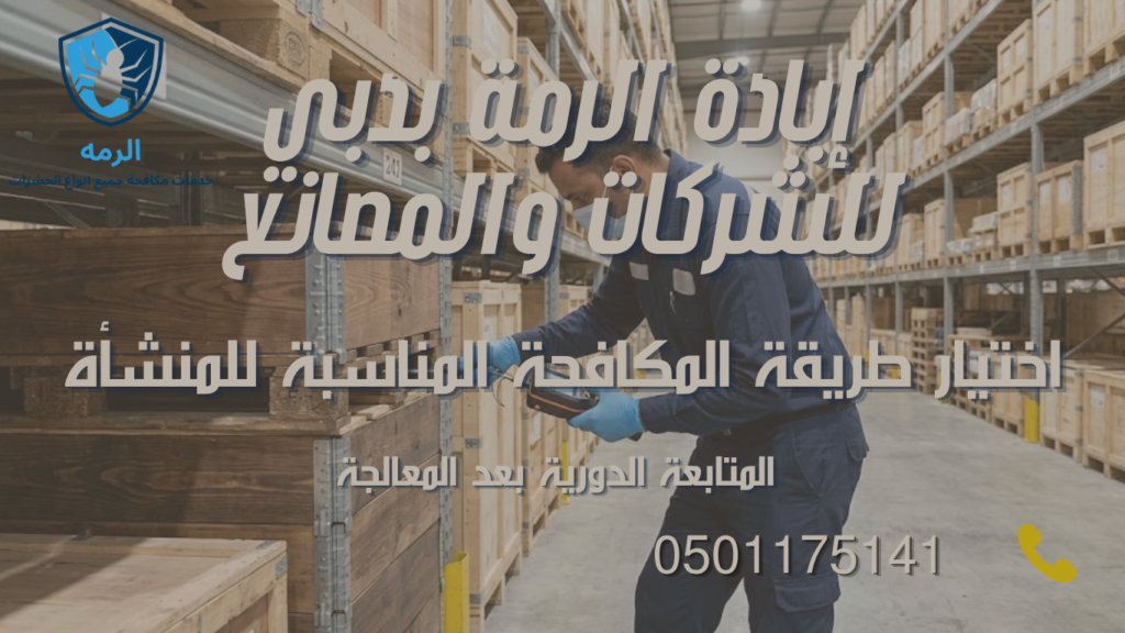 فني يفحص أرفف تخزين خشبية في مستودع تجاري بدبي بعد معالجة الرمة
