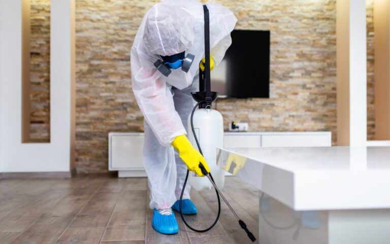 شركه مكافحه النمل الابيض