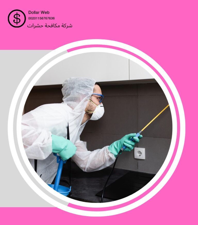 شركة رش الرمه