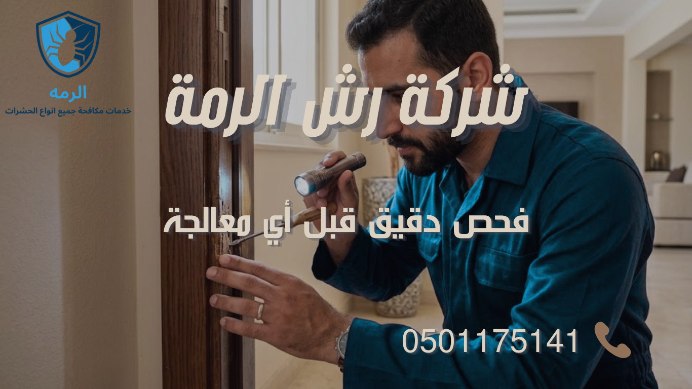 فني متخصص يفحص إطار خشبي للكشف عن إصابة النمل الأبيض قبل تحديد طريقة رش الرمة