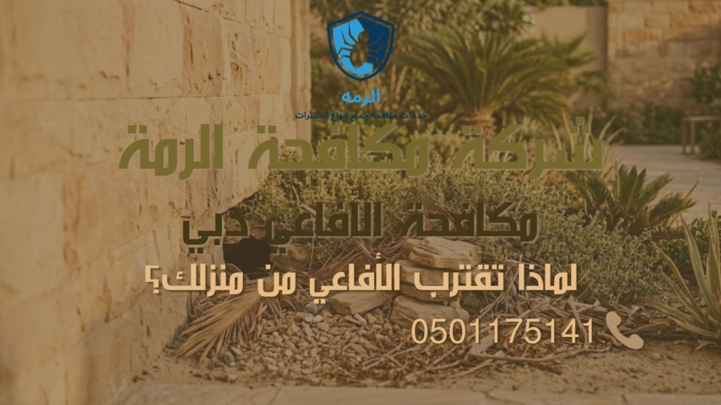 أفعى قرب منزلك في دبي؟ خطوات التصرف الآمن وخدمة مكافحة الأفاعي دبي 2 فجوة صغيرة عند سور فيلا في دبي محاطة بنباتات كثيفة قد تجذب الأفاعي