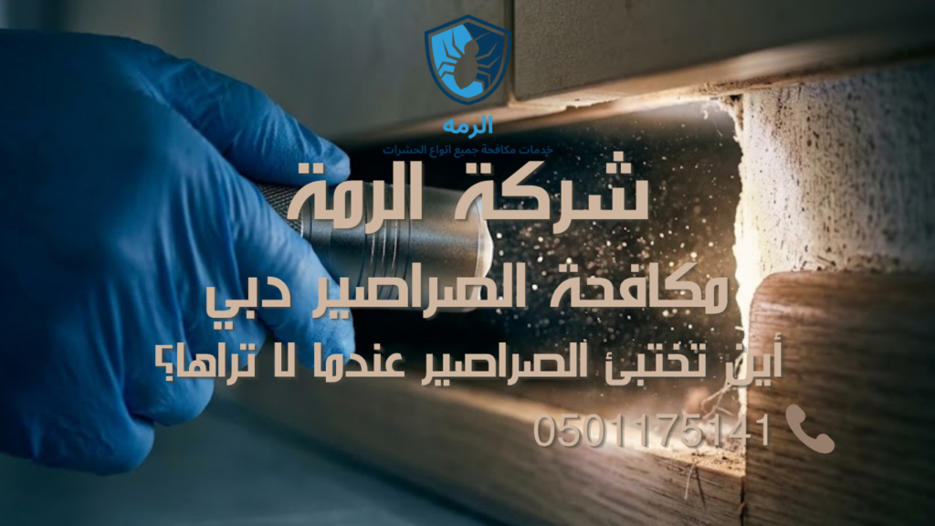كشاف يضيء شقًا ضيقًا خلف حافة خشبية أثناء فحص أماكن اختباء الصراصير