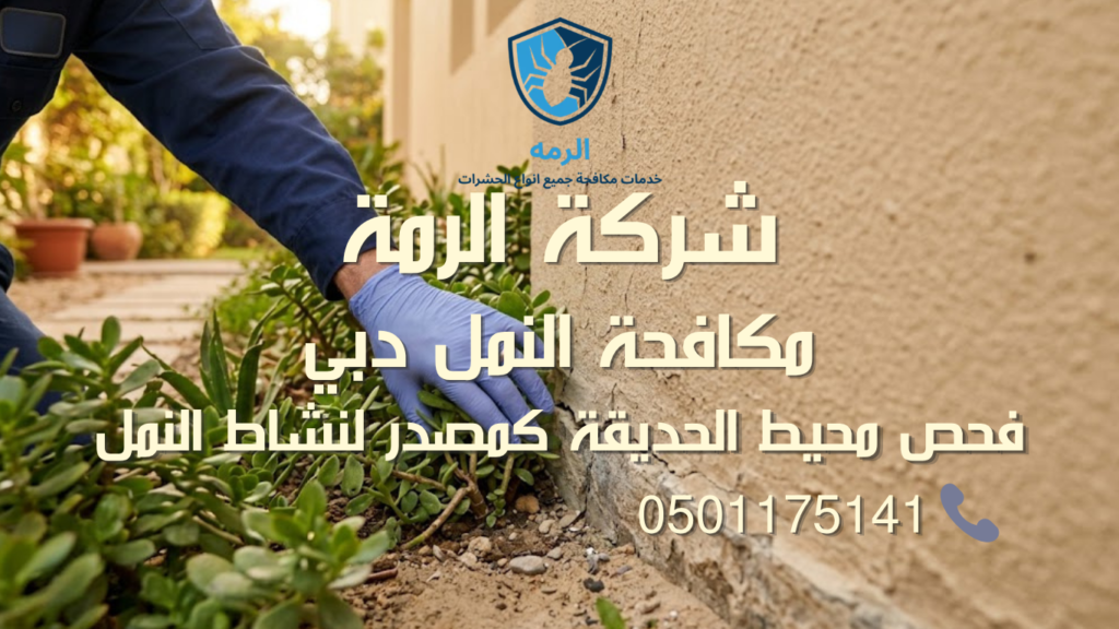 مكافحة النمل دبي