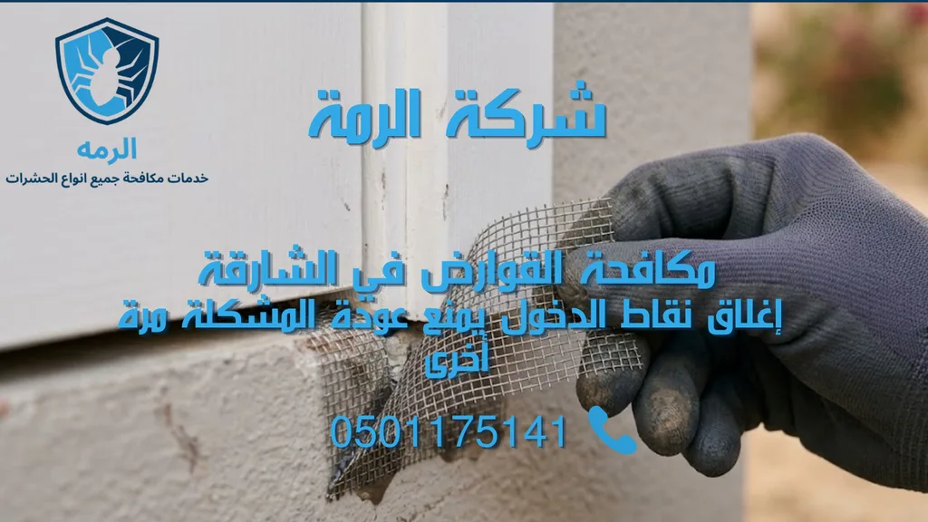 مكافحة القوارض في الشارقة: كيف تتعرف على المشكلة وتتعامل معها بالطريقة الصحيحة 2 إغلاق فتحة صغيرة أسفل الباب لمنع دخول القوارض مجددًا
