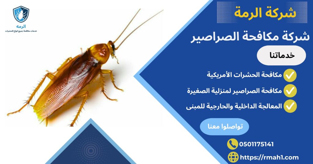 شركة مكافحة الصراصير