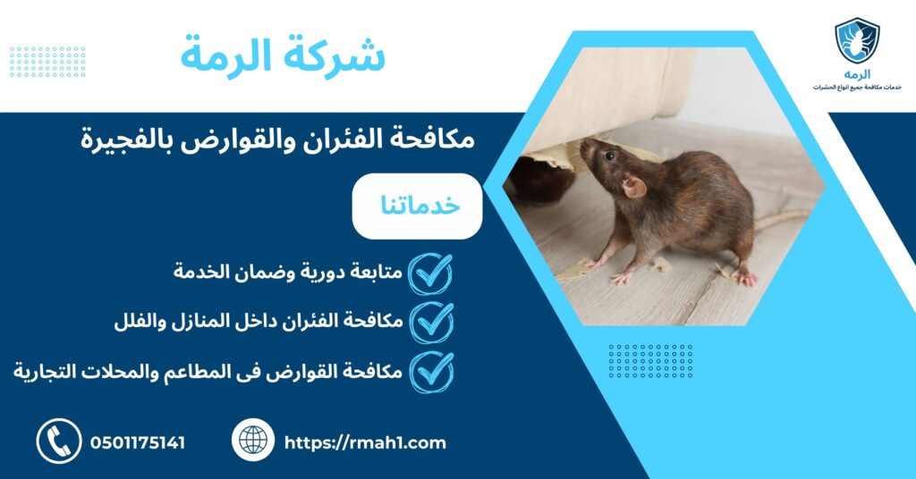 مكافحة الفئران والقوارض بالفجيرة