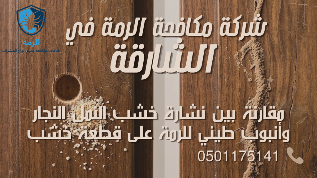 دليل تشخيص الرمة: ما تحتاج معرفته قبل التواصل مع شركة مكافحة الرمة في الشارقة 1 مقارنة بين نشارة خشب النمل النجار وأنبوب طيني للرمة على قطعة خشب