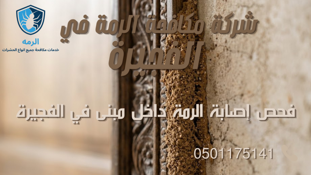 شركة مكافحة الرمة في الفجيرة 1 أنبوب طيني رفيع للنمل الأبيض على حافة خشبية داخل منزل