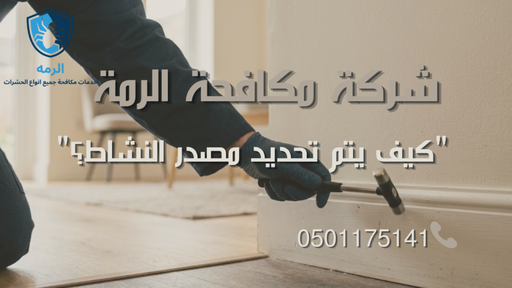 شركة مكافحة الرمة في العين 1 فني يطرق على قطعة خشبية داخل المنزل لاختبار الصوت الأجوف كمؤشر على نشاط الرمة