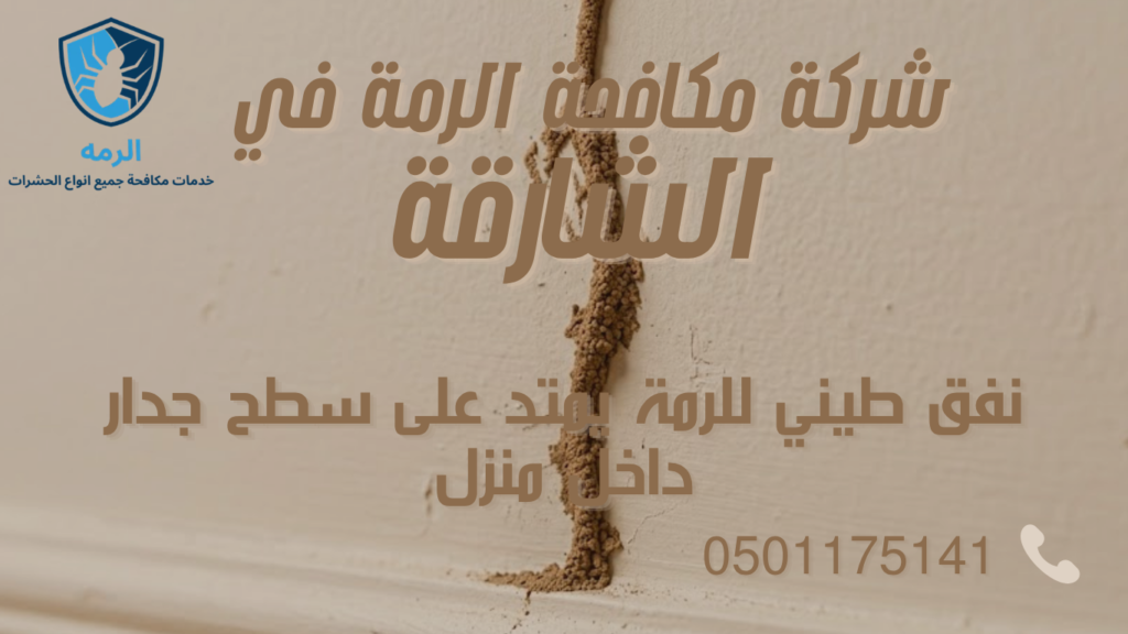 دليل تشخيص الرمة: ما تحتاج معرفته قبل التواصل مع شركة مكافحة الرمة في الشارقة 2 نفق طيني للرمة يمتد على سطح جدار داخل منزل