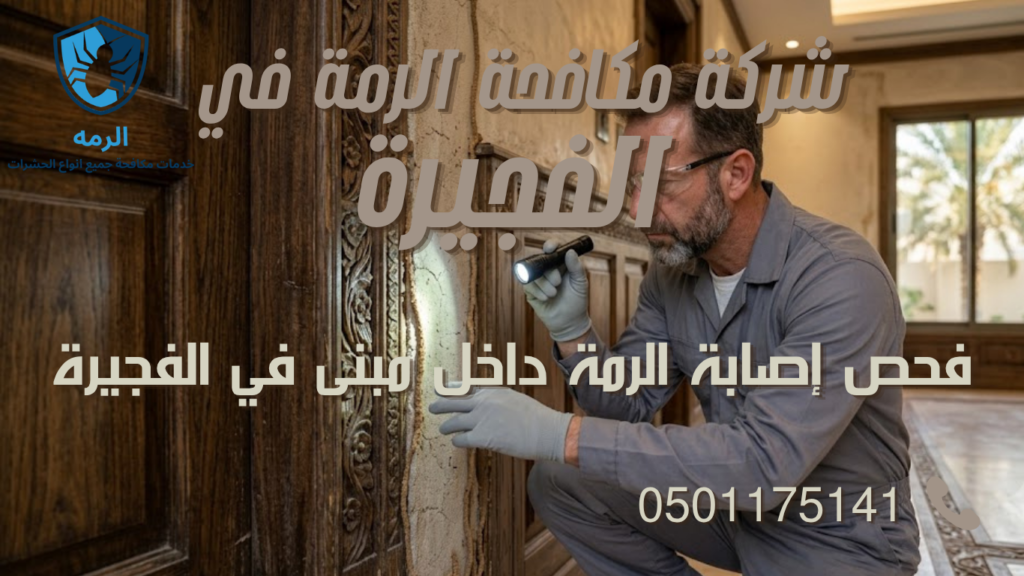 شركة مكافحة الرمة في الفجيرة 1 مفتش يفحص أنفاق النمل الأبيض الطينية على جدار خشبي في الفجيرة